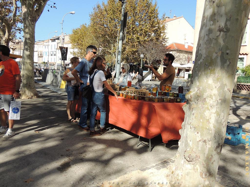 2024 11 02 EN FLANANT SUR SANARY (41).jpg